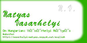 matyas vasarhelyi business card